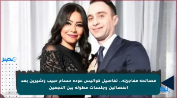 مصالحة مفاجئة.. تفاصيل كواليس عودة حسام حبيب وشيرين بعد انفصالين وجلسات مطولة بين النجمين